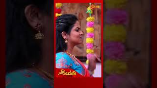 Sevanthi  Udaya TV  shorts [upl. by Ailiec929]