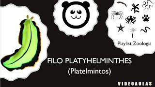 Filo Platyhelminthes Os Platelmintos [upl. by Adele]